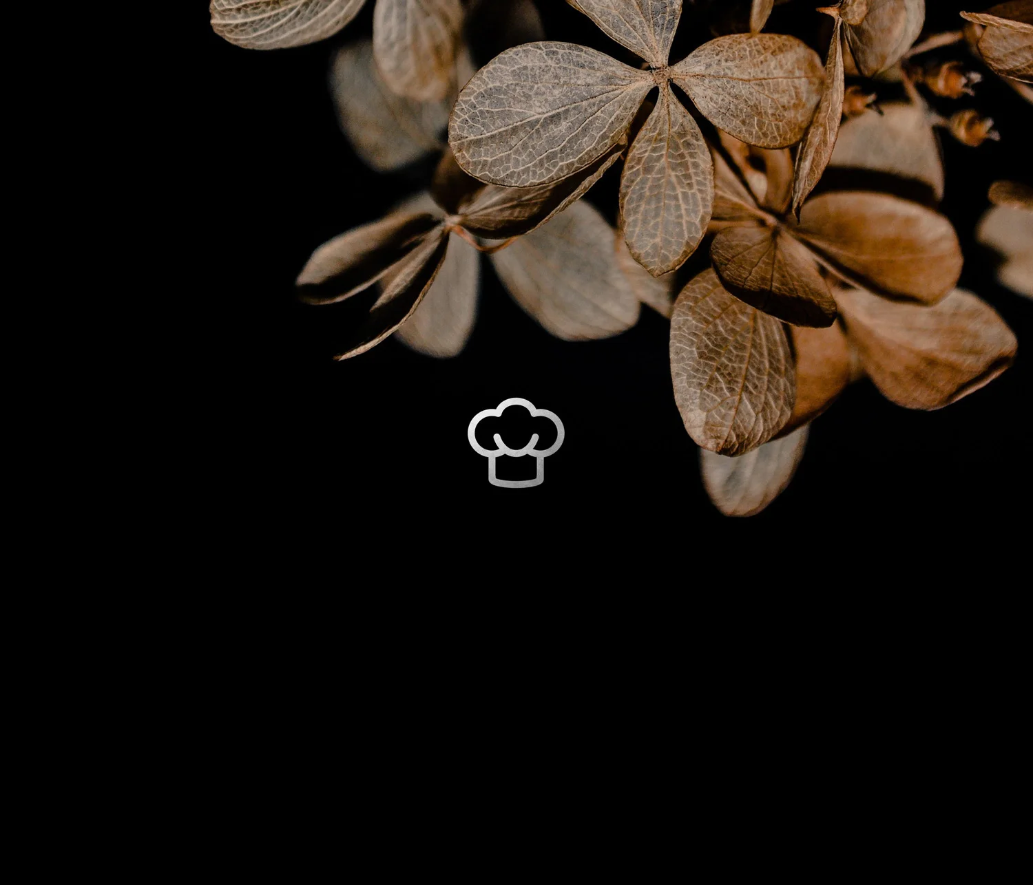 Design Software Branding Apps