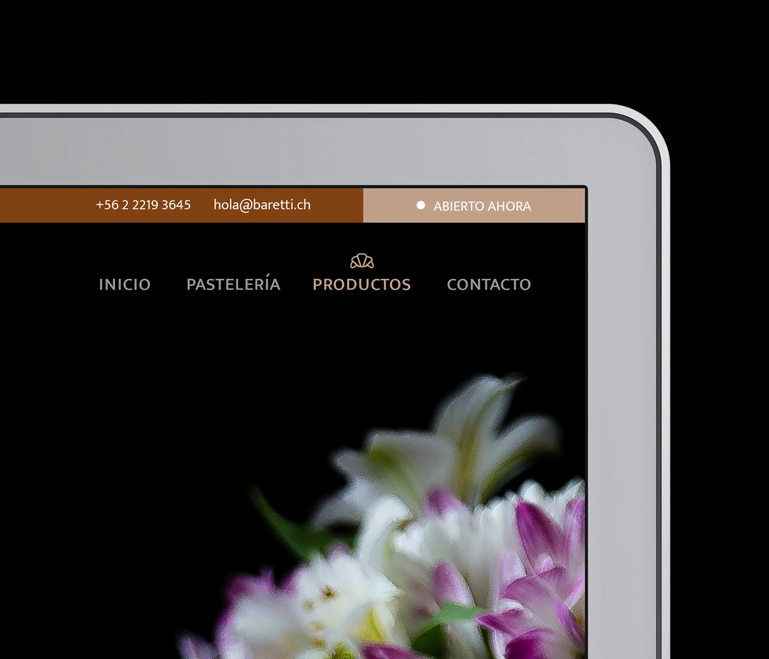 Design Software Branding Apps
