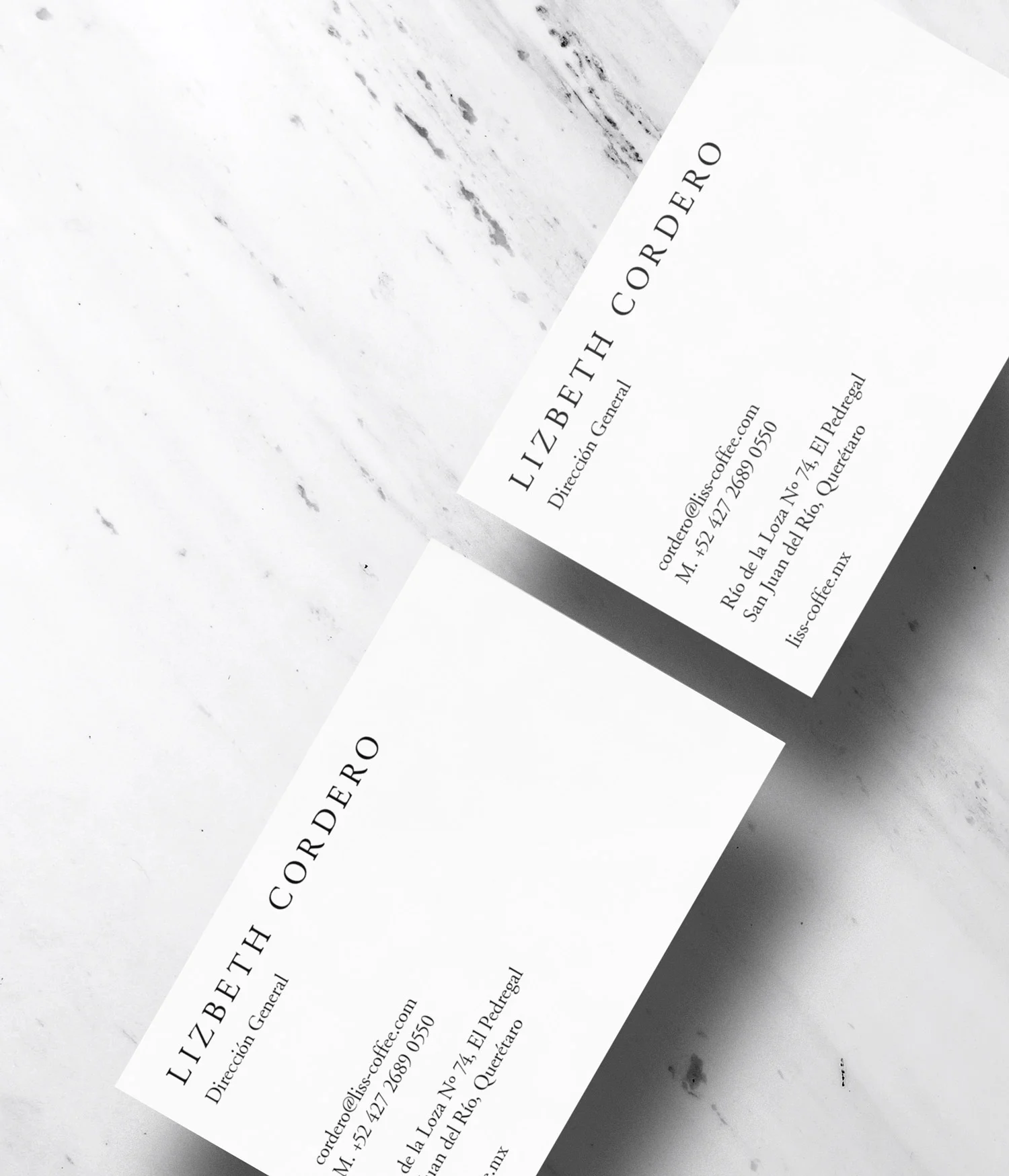 Design Software Branding Apps
